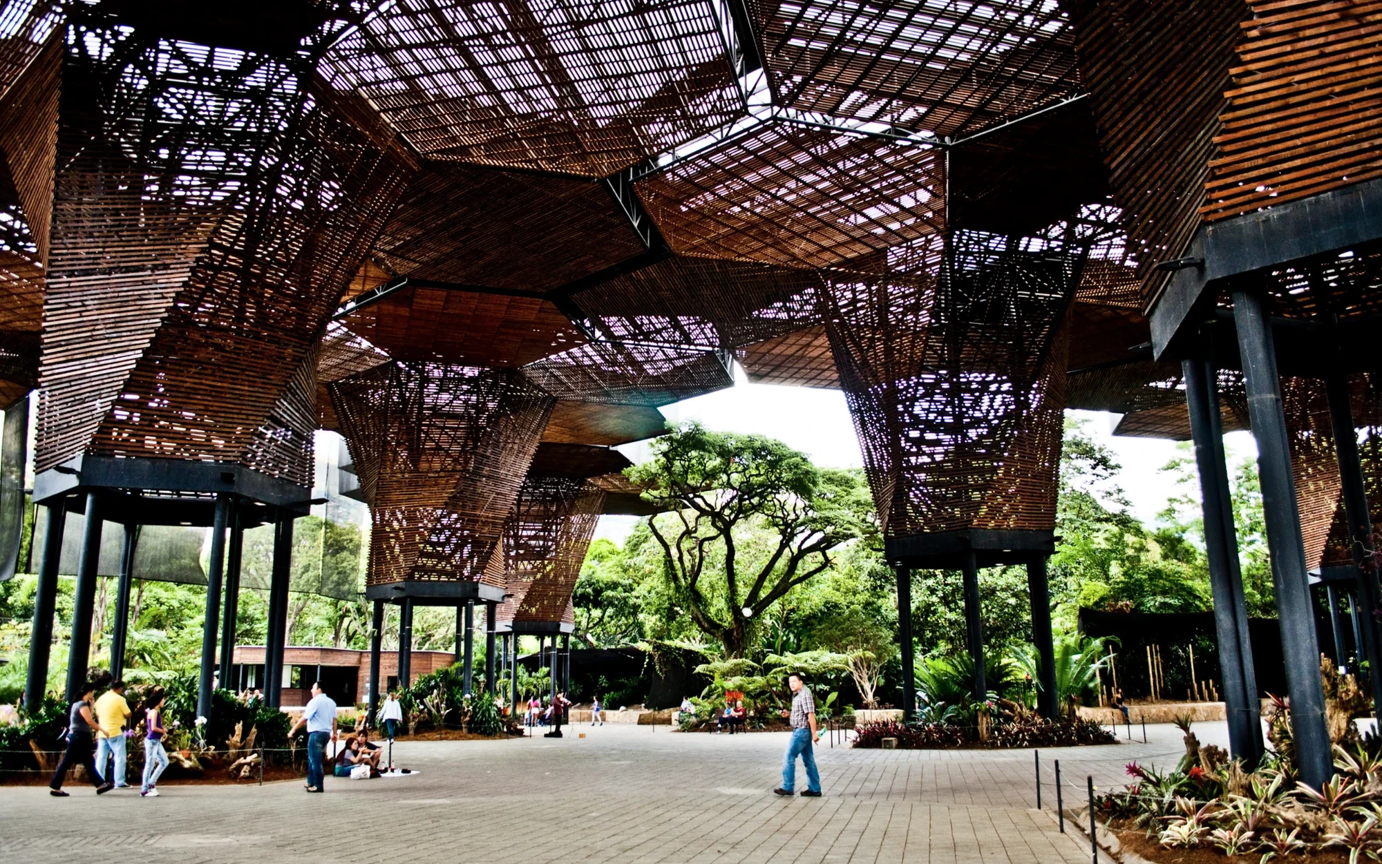 Pabellón de arquitectura moderna inspirado en la naturaleza, estructura de madera y acero con diseño orgánico en espacio público latinoamericano.